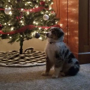 Meet your Posher, Chelsea